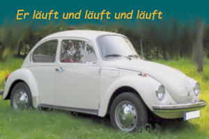 VW-Kaefer